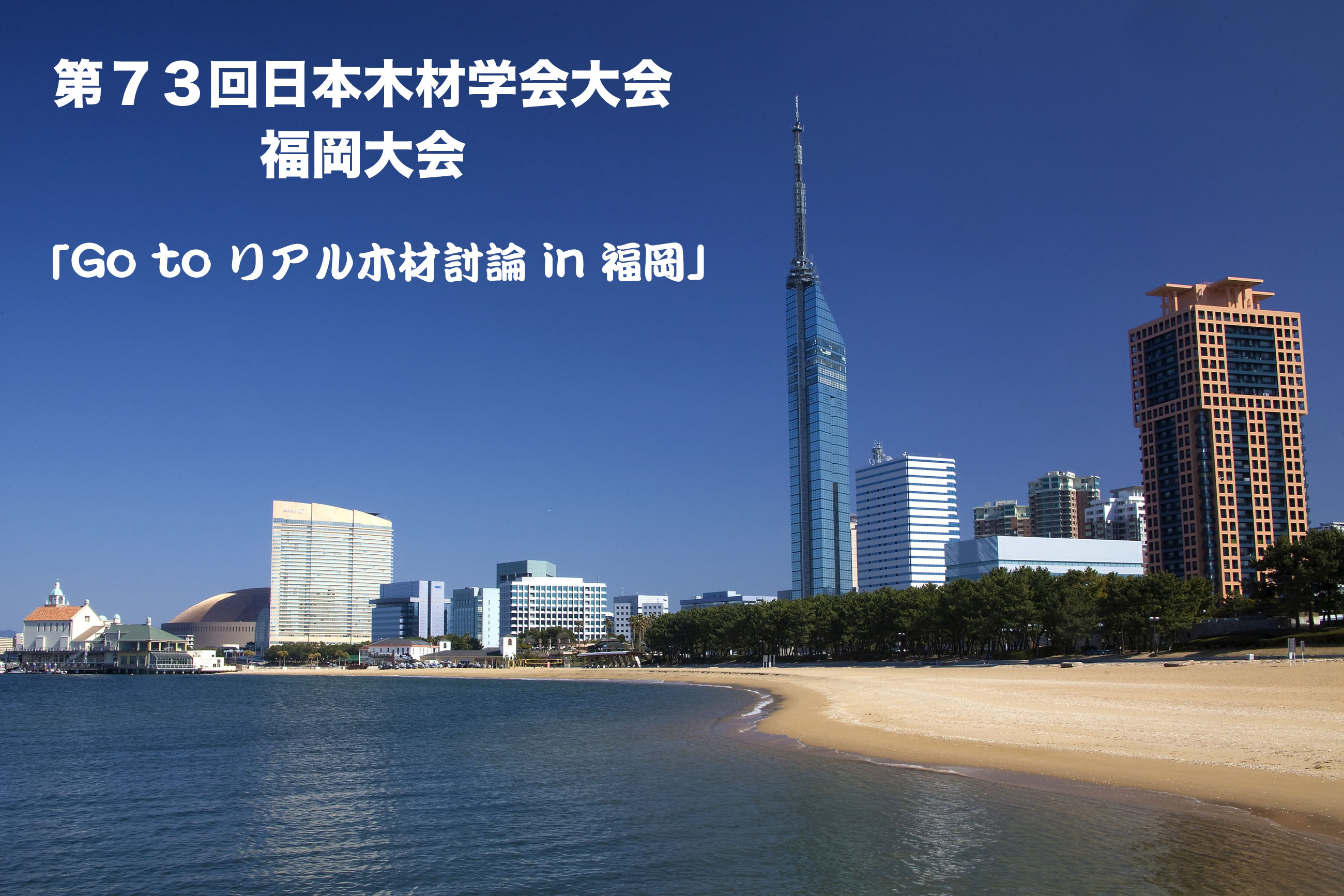 第73回日本木材学会大会（福岡）